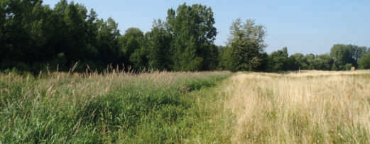 - Restauration des milieux - image projet 1 avant